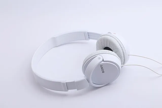 Sony WH-1000XM4, чорні, з чохлом